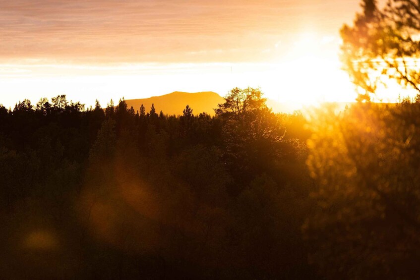 A sunset over a forested mountain range. 3