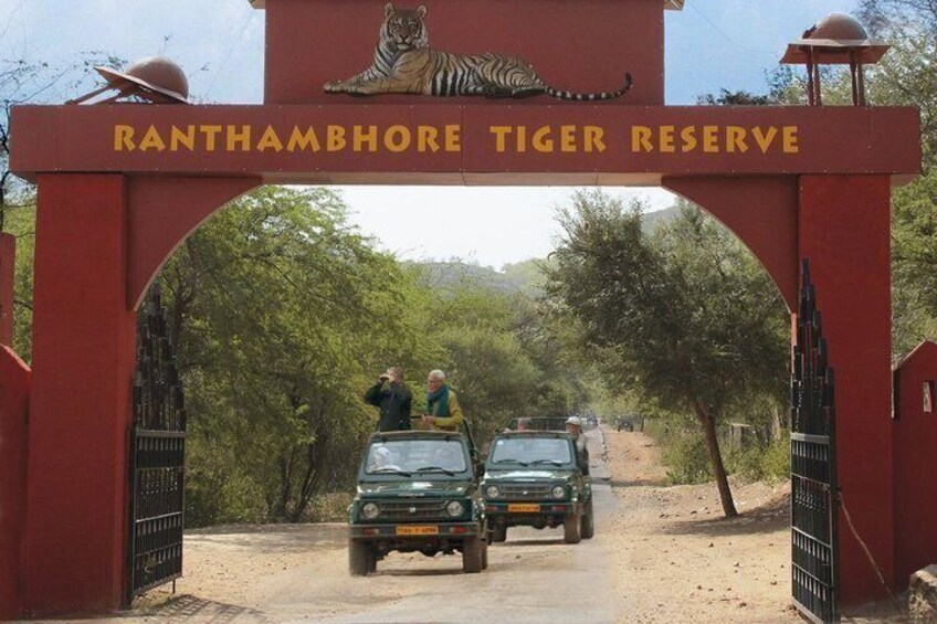 3 Day Ranthambore & Kuno Safari Tour from Jaipur/Ranthambore 3
