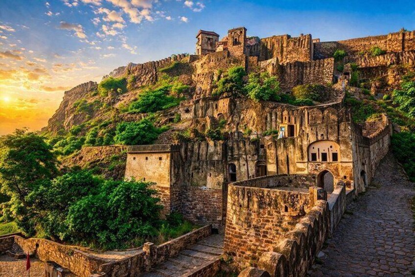 3 Day Ranthambore & Kuno Safari Tour from Jaipur/Ranthambore 2