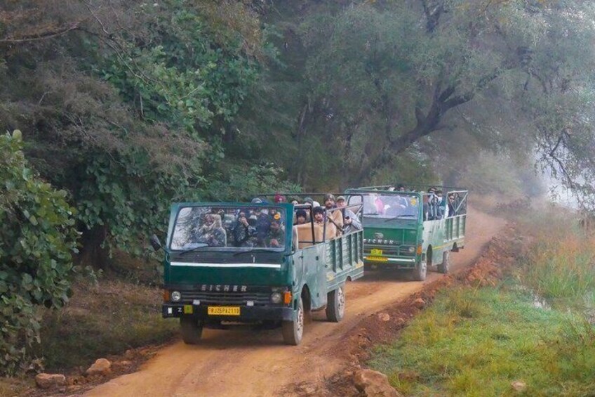 3 Day Ranthambore & Kuno Safari Tour from Jaipur/Ranthambore 2