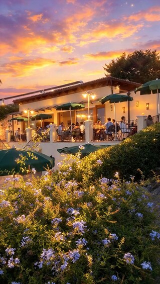 Picture 5 for Activity Vieste: Panoramic aperitif with 360° views of Vieste 3