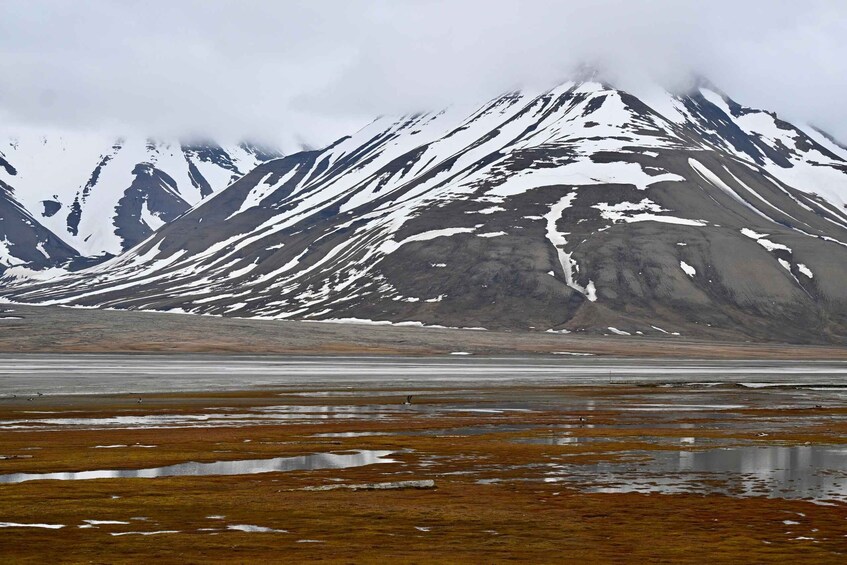 A snow-capped mountain range with a foreground of reflective water and brown terrain. 3