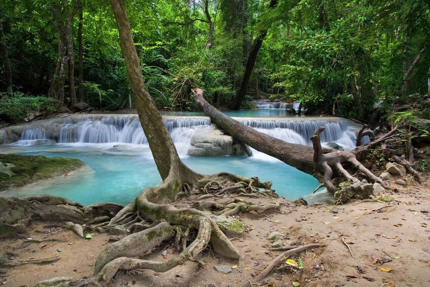A forested area with a cascading waterfall and a fallen tree. 2