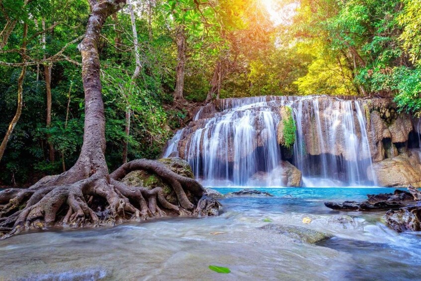 A waterfall surrounded by lush greenery and a clear blue pool. 1