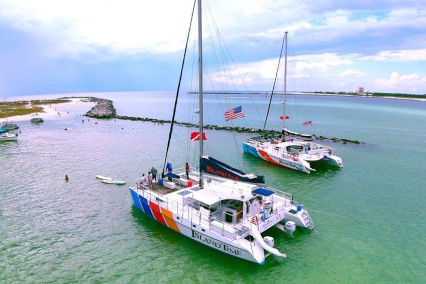 3 Hour Panama City Beach Dolphin Cruise and Shell Island Tour 5