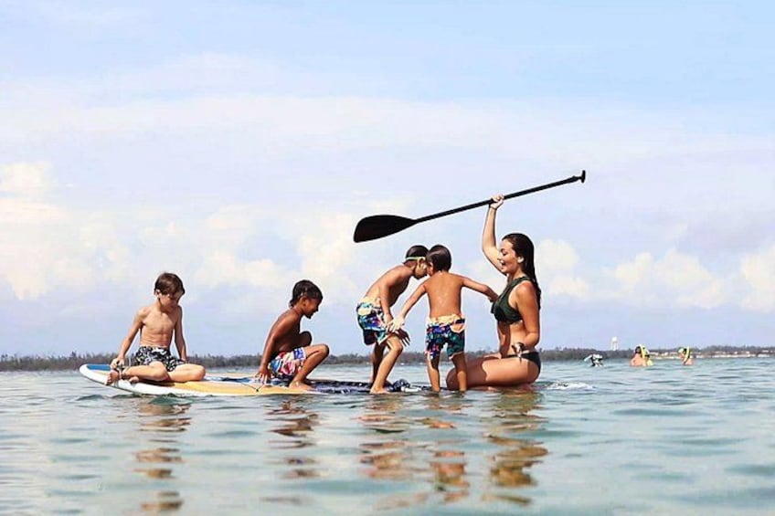 3 Hour Panama City Beach Dolphin Cruise and Shell Island Tour 2