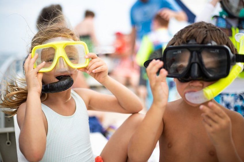 3 Hour Panama City Beach Dolphin Cruise and Shell Island Tour 2
