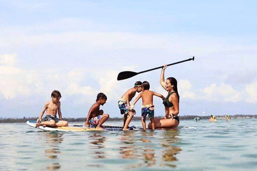 3 Hour Panama City Beach Dolphin Cruise and Shell Island Tour 3