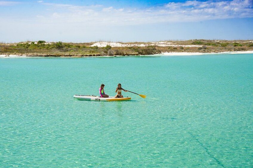 3 Hour Panama City Beach Dolphin Cruise and Shell Island Tour 3