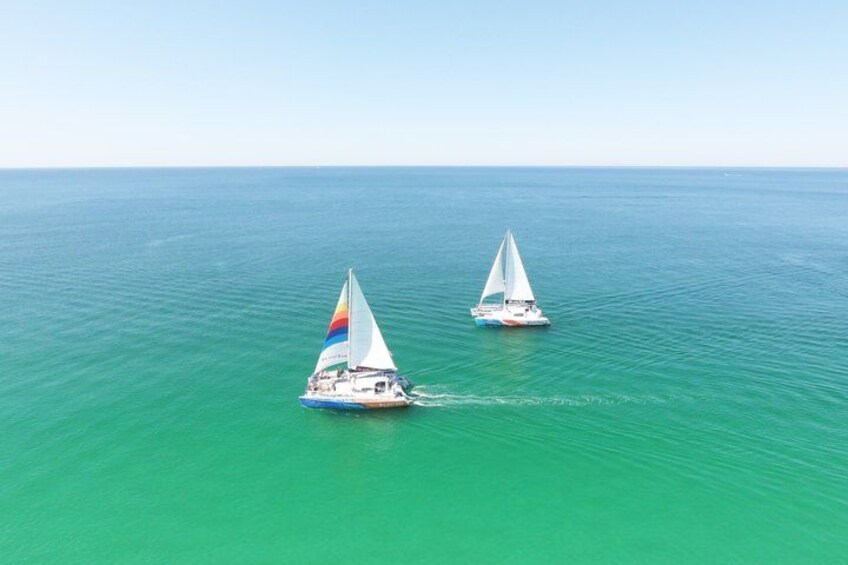 3 Hour Panama City Beach Dolphin Cruise and Shell Island Tour 2