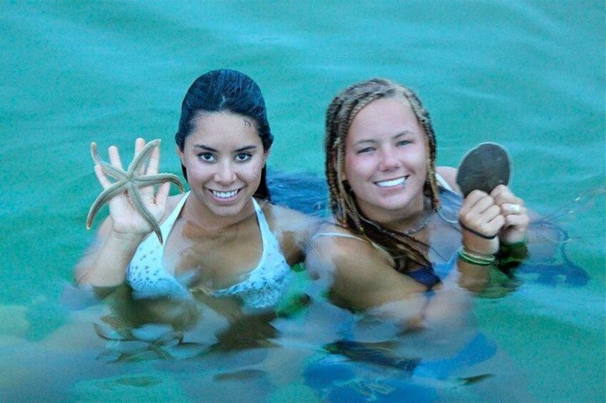 3 Hour Panama City Beach Dolphin Cruise and Shell Island Tour 2