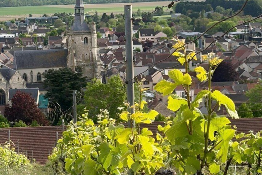 Eine Stadt mit Kirchturm, Häusern und Grünflächen im Vordergrund. 4