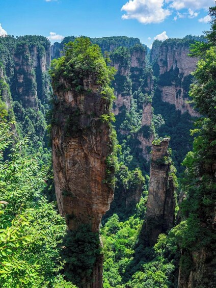 Zhangjiajie: Avatar Floating Mountain 1-day private tour 4