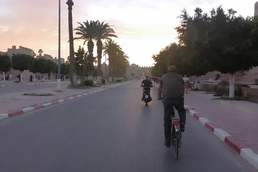 Un homme à vélo circule sur une route asphaltée bordée de palmiers et éclairée par un lampadaire. 2