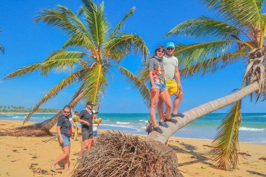 Una playa con palmeras, gente y una estructura de techo de paja. 1