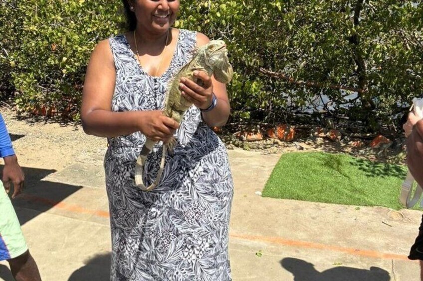 A person holding a small animal, possibly a bird, in an outdoor setting with greenery and a paved area. 4