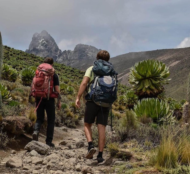 Two hikers on a rocky trail with mountain views and agave plants. 2