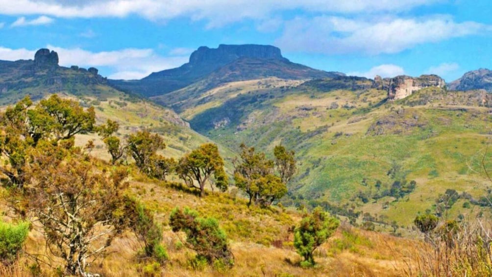 A mountainous landscape with scattered trees and a prominent rock formation in the distance. 4