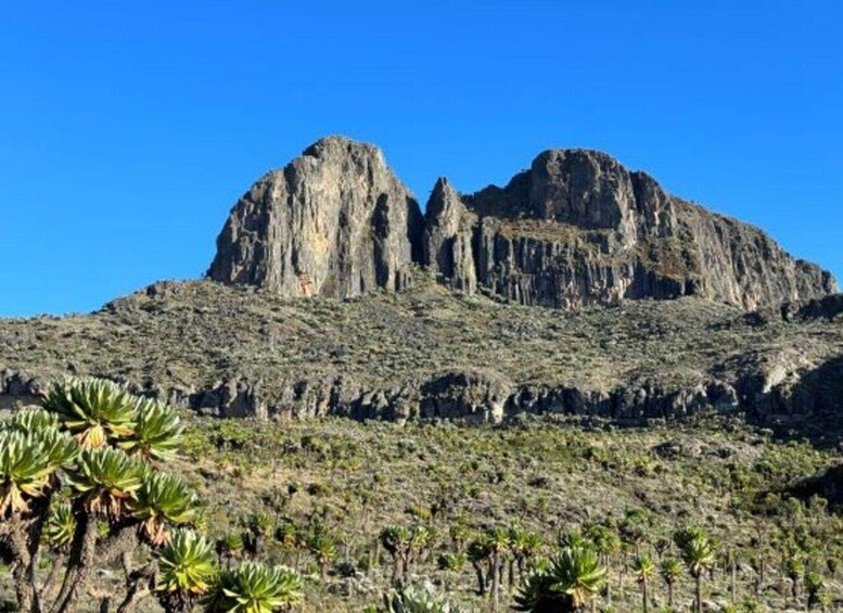 A rugged mountain with sparse vegetation and a clear blue sky. 1