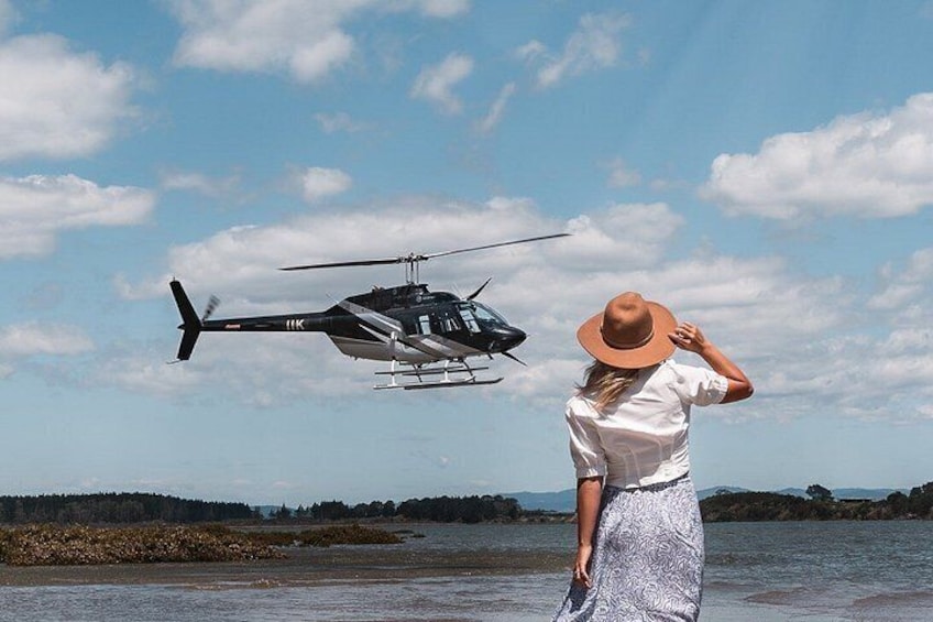 Pilot's Choice: Bay Explorer with Remote Beach Landing -Tauranga 3