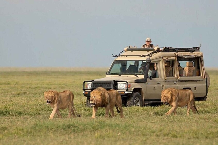 Rwanda 4 Day Akagera National Park with night game drive 2