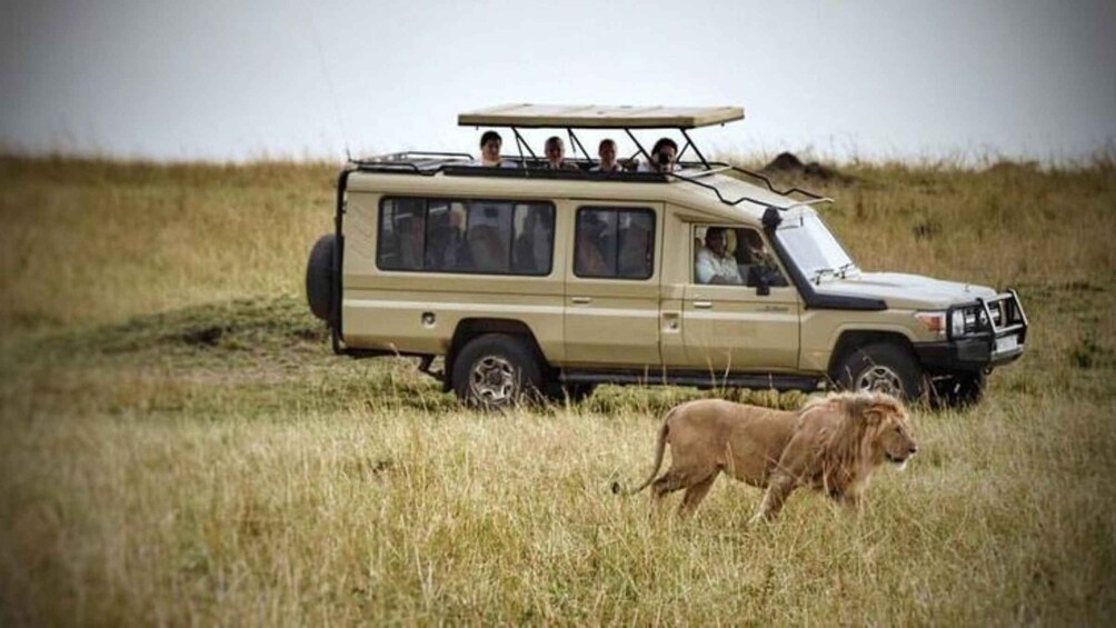 Picture 3 for Activity Rwanda 4 Day Akagera National Park with night game drive 3