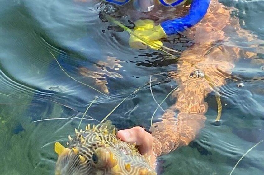 A person holding a fish in clear water. 3