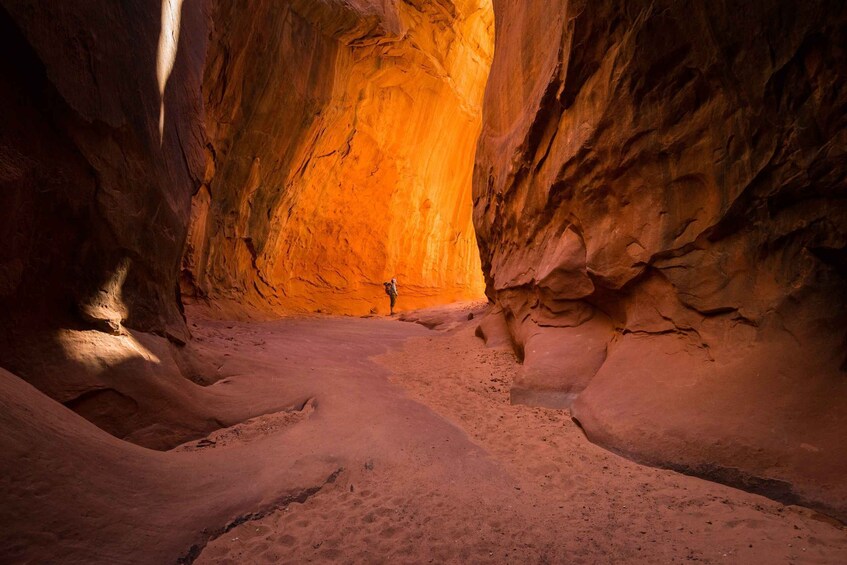 A canyon with reddish-brown walls and a narrow passageway. 2
