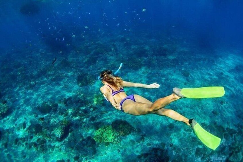 Una persona haciendo snorkel bajo el agua. 2