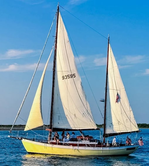 A sailboat with two sails, numbered 93595, on calm waters. 3