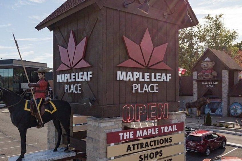 Niagara Falls & Niagara-on-the-Lake Luxury Private SUV Tour 3