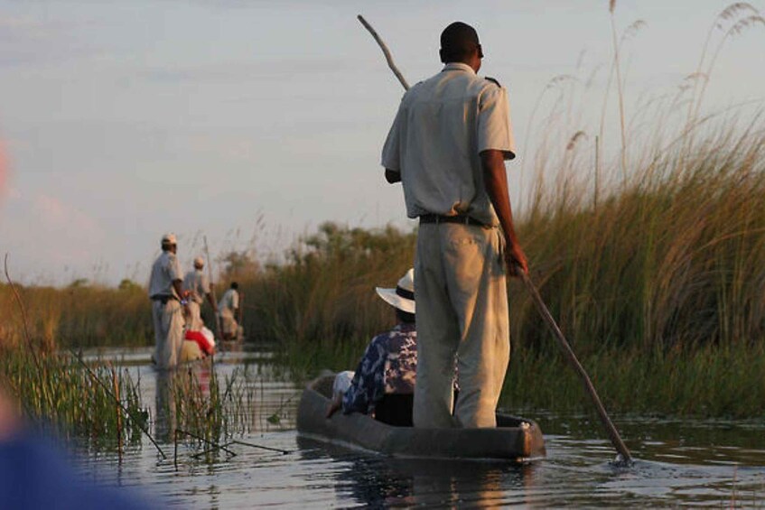 People in a boat navigating a river with tall grasses on the banks. 1