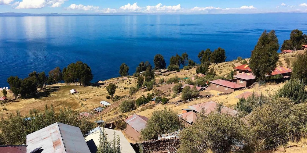 A coastal village with houses and trees by a large body of water. 2
