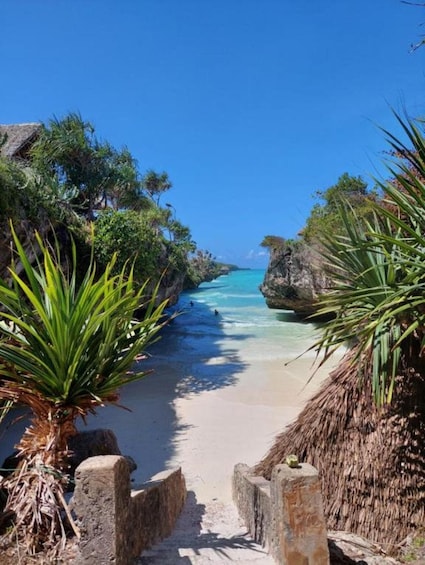 A beach with clear turquoise water, palm trees, and rocky cliffs. 2