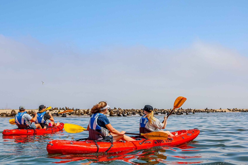 People kayaking on calm water with a rocky shoreline in the background. 1