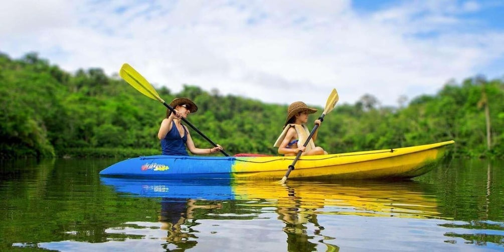 Two people kayaking on a calm river surrounded by lush greenery. 4
