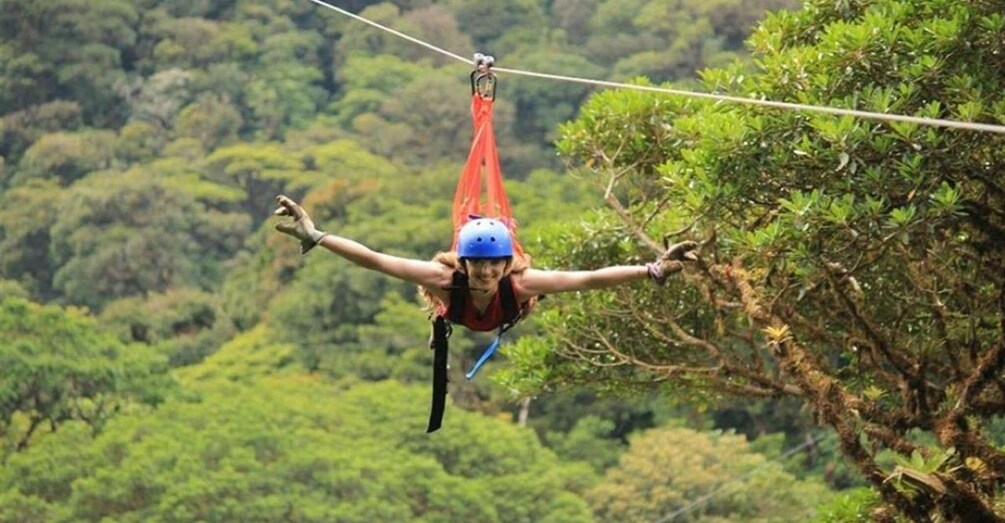A person zip-lining through a forested area. 1