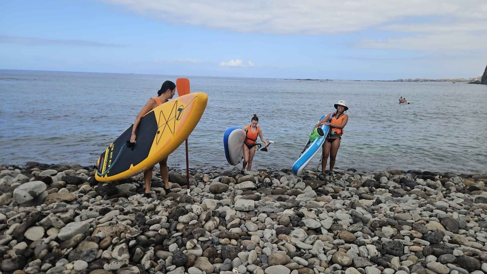 Picture 3 for Activity Tenerife: Paddle Surf by the Cliffs of Palm Mar 2