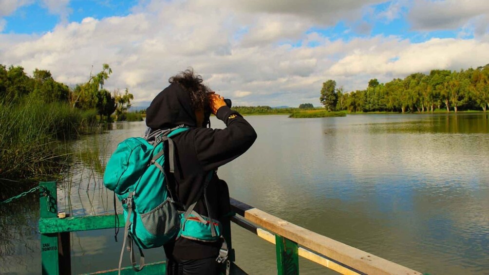 Birdwatching in Bogotá wetlands with Bakata Pajarera 1