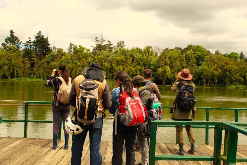 A group of people on a wooden dock overlooking a lake, surrounded by dense greenery. 3