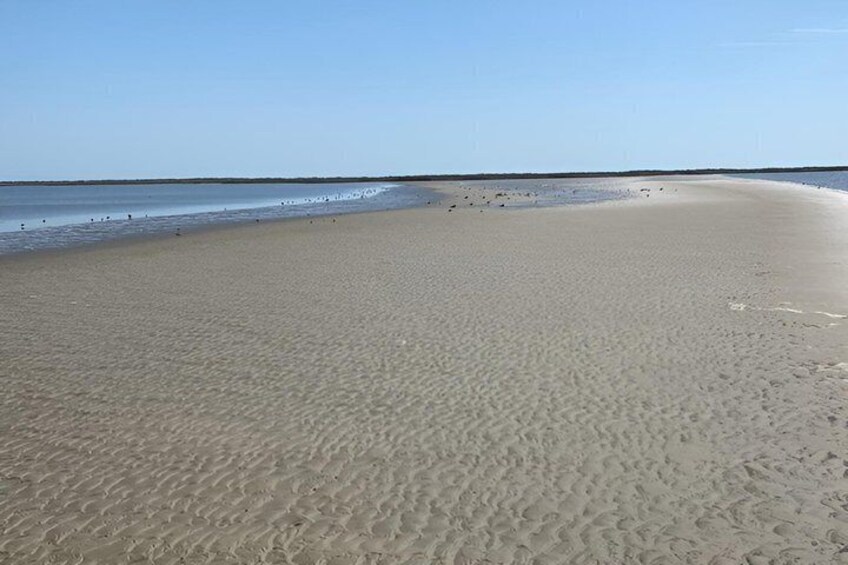 A wide sandy beach with gentle waves, a clear sky, and a distant shoreline. 4
