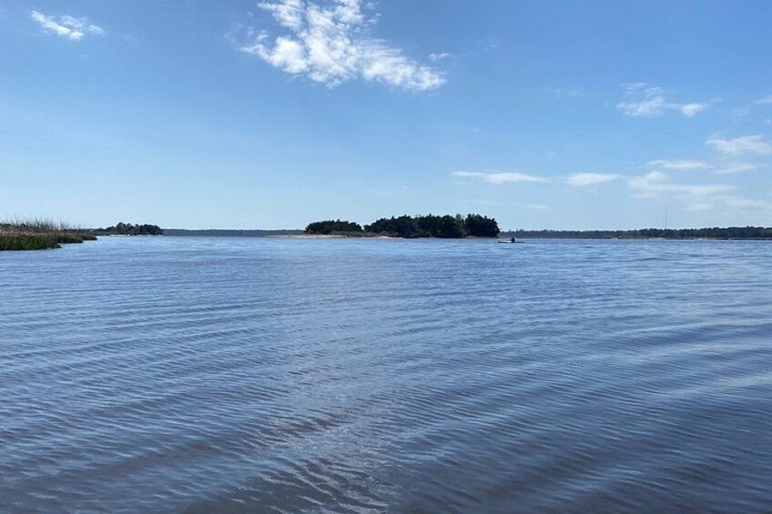 Cape Fear River Leisure Kayak Family-Friendly Adventure 5