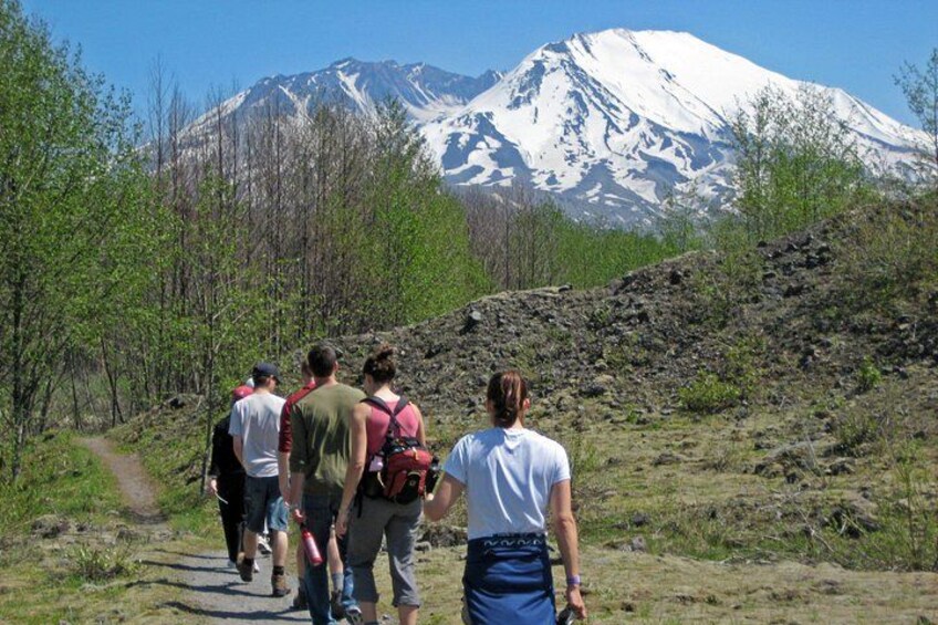 A group of hikers walking on a trail with a snow-capped mountain in the background. 3