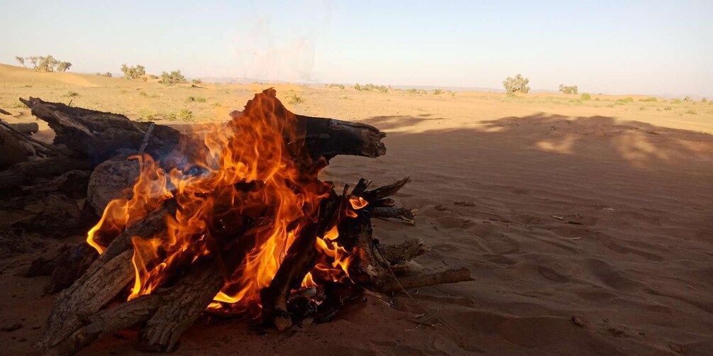 A campfire in a desert with sparse vegetation. 2