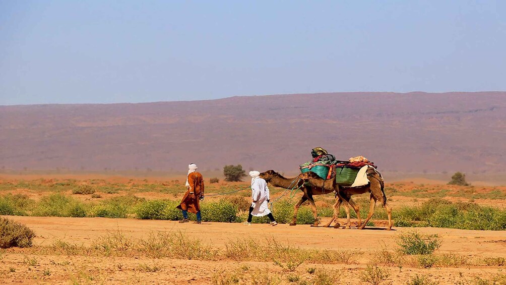 A camel caravan in a desert landscape with sparse vegetation and distant hills. 3