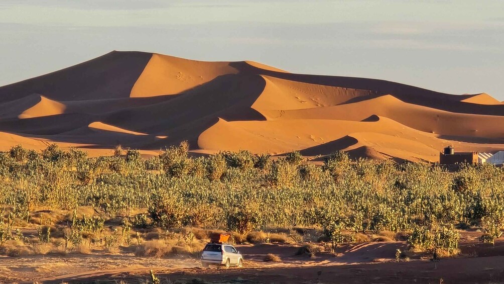 A desert landscape with sand dunes and sparse vegetation. 4