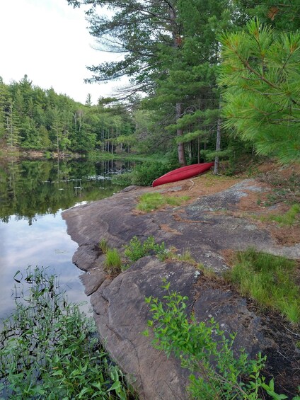 A calm lake with a red canoe on a rocky shore, surrounded by dense trees. 3