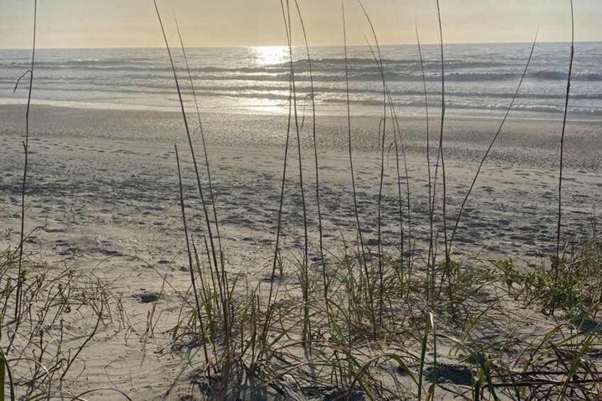A beach with sand, grass, and the ocean. 5