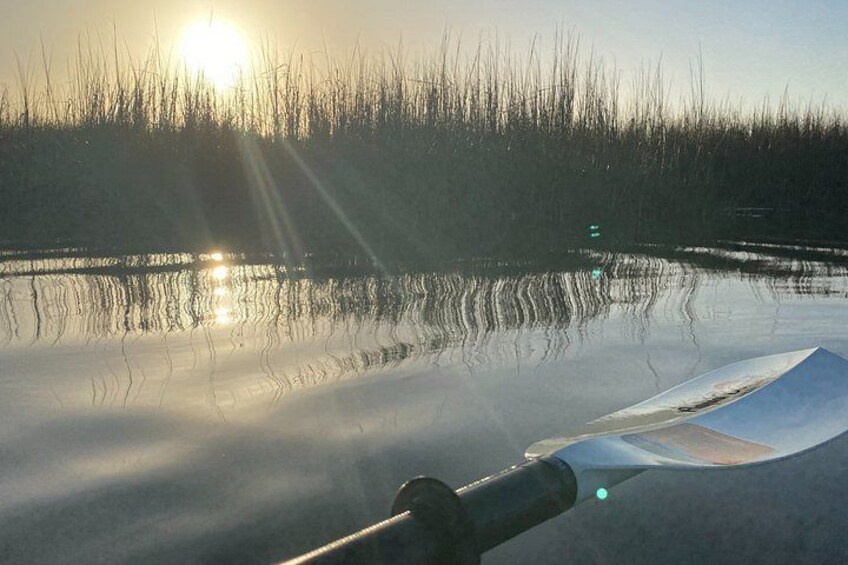Masonboro Island Intracoastal Kayak Tour 2