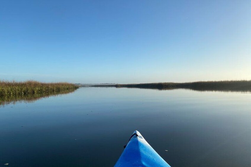 A calm lake with a clear sky, a blue kayak, and reeds along the shore. 1